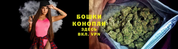 МДПВ Елабуга