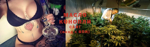 хмурый Долгопрудный