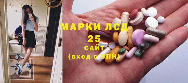 МДПВ Елабуга