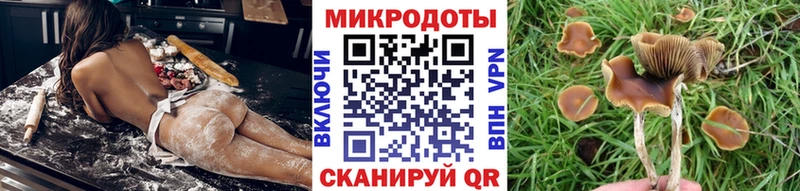 Псилоцибиновые грибы Cubensis  Зеленодольск 